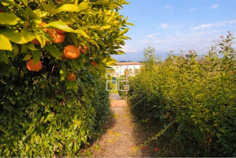 imm_72961-20260330185121-1280-_Watermark_png_mc