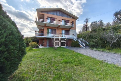 imm_72964-20260330184702-1280-_Watermark_png_mc