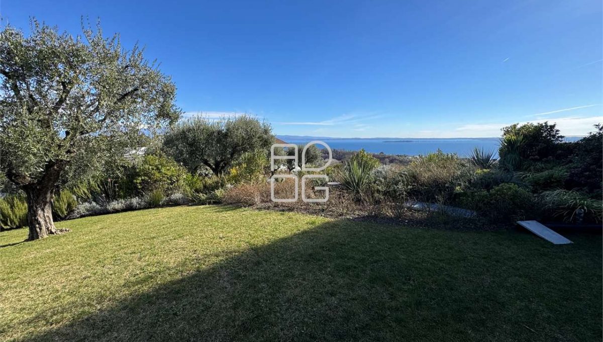 imm_73033-20260331080956-1280-_Watermark_png_mc