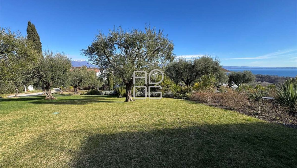 imm_73034-20260331080959-1280-_Watermark_png_mc