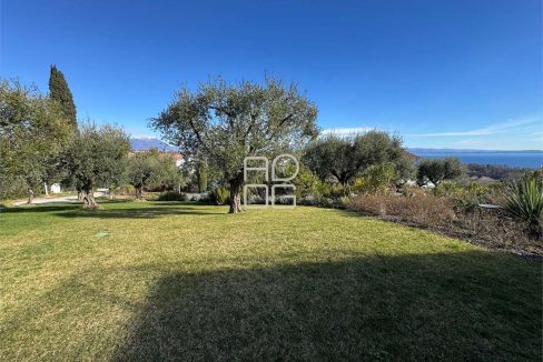 imm_73034-20260331080959-1280-_Watermark_png_mc