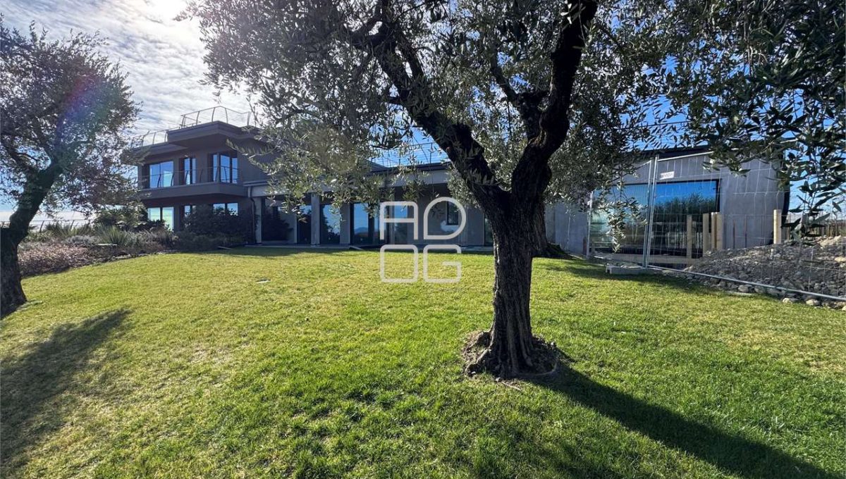 imm_73036-20260331080942-1280-_Watermark_png_mc