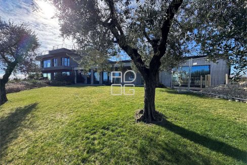 imm_73036-20260331080942-1280-_Watermark_png_mc