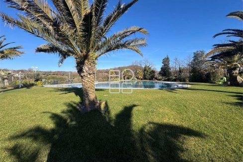 imm_73042-20260331081111-1280-_Watermark_png_mc