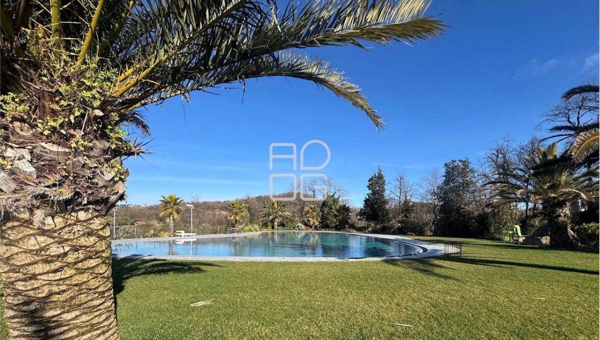 imm_73097-20260331084840-1280-_Watermark_png_mc