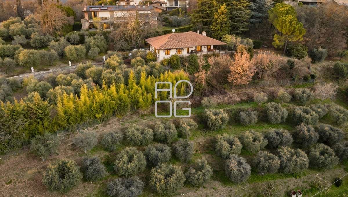 imm_73113-20260402165014-1200-_Watermark_png_mc