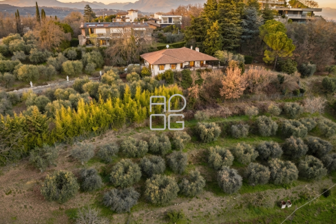 imm_73113-20260402165014-1200-_Watermark_png_mc