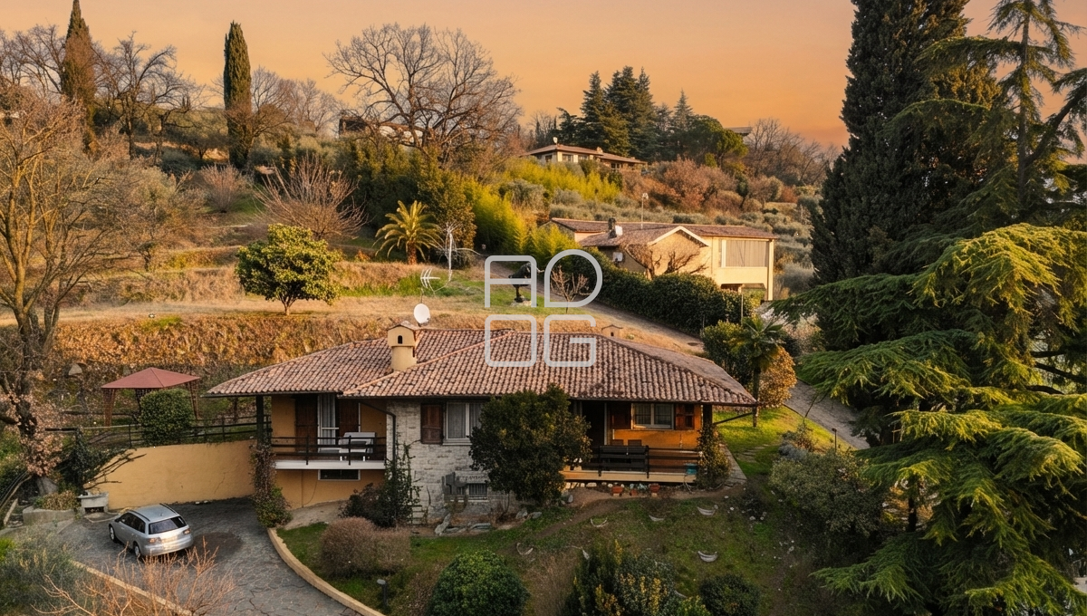 imm_73114-20260402165012-1200-_Watermark_png_mc