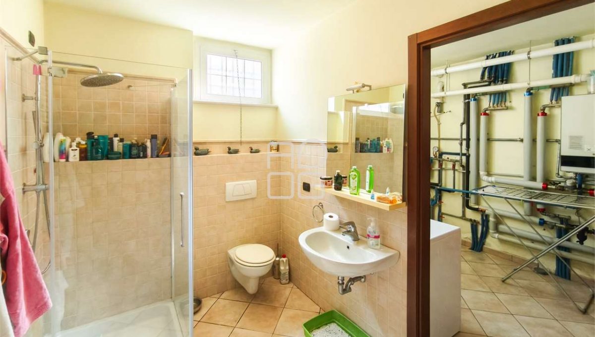 imm_73155-20260404114612-1280-_Watermark_png_mc