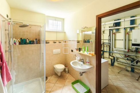 imm_73155-20260404114612-1280-_Watermark_png_mc