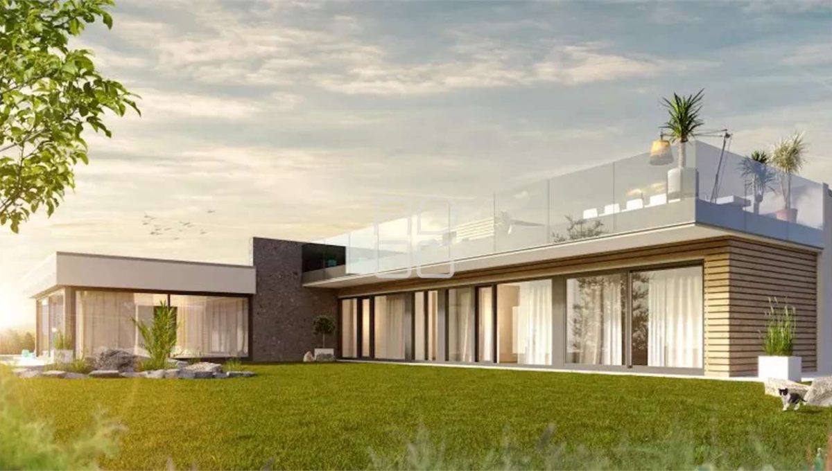 imm_73204-20260405235231-1280-_Watermark_png_mc