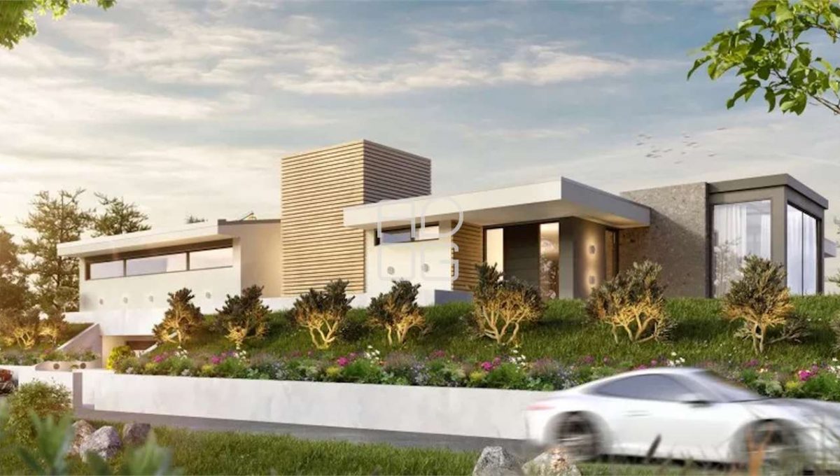 imm_73205-20260405235231-1280-_Watermark_png_mc