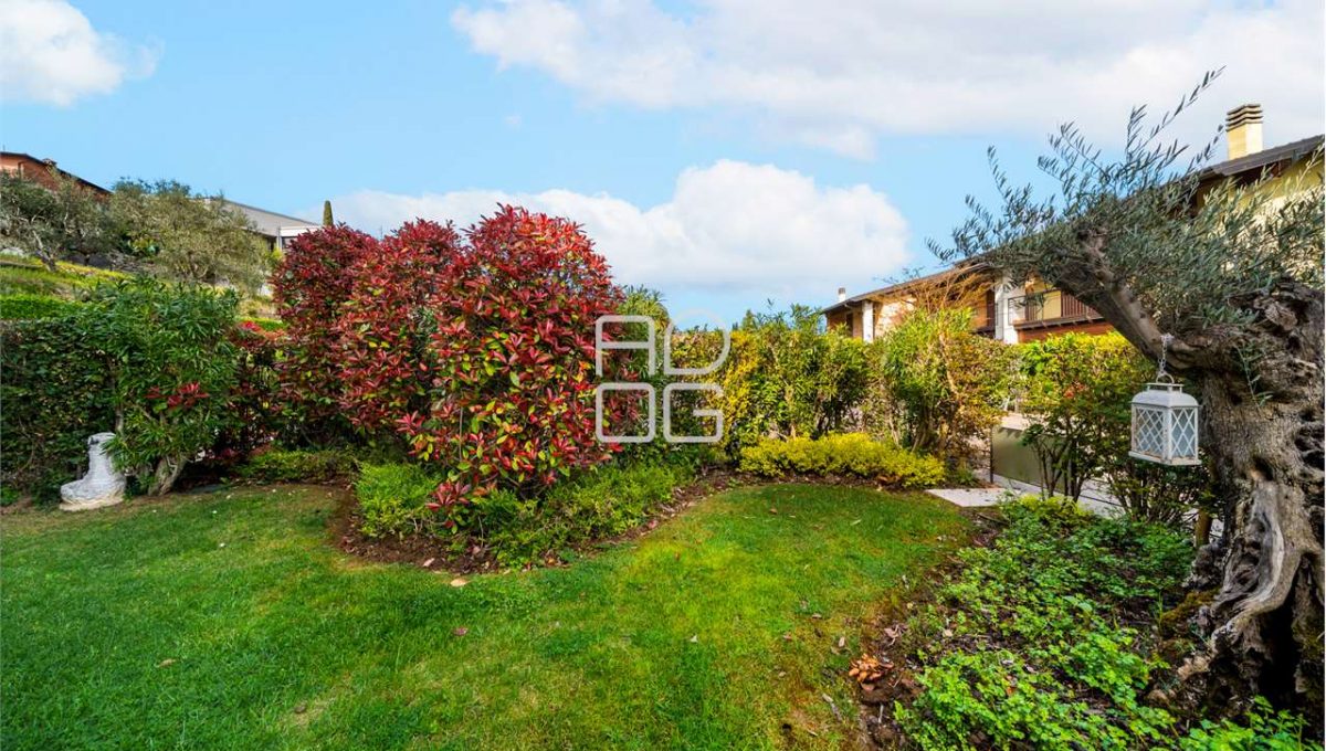 imm_73572-20260424095424-1280-_Watermark_png_mc