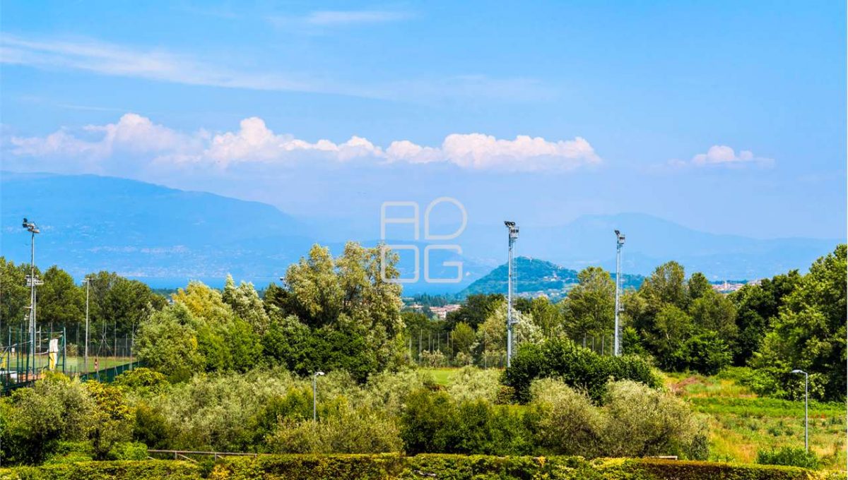 imm_74723-20260523123434-1280-_Watermark_png_mc