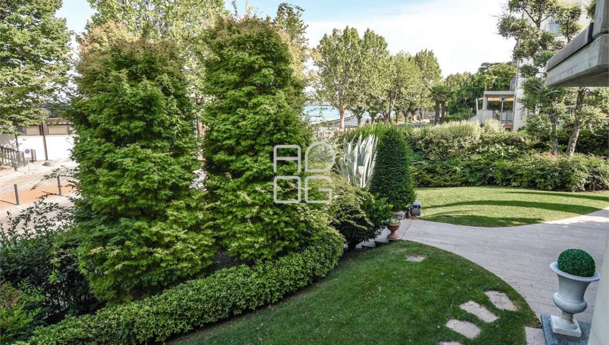 imm_71562-20260207172345-1280-_Watermark_png_mc